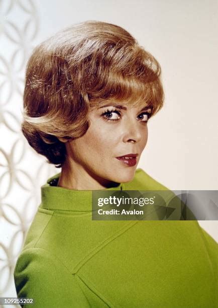 barbara bain sexy|585 Barbara Bain Photos Stock Photos & High